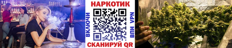 Где купить Зуевка СК Метадон Конопля Меф мяу мяу