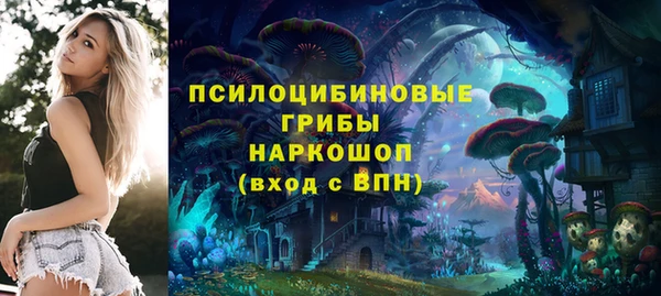 a pvp Арсеньев