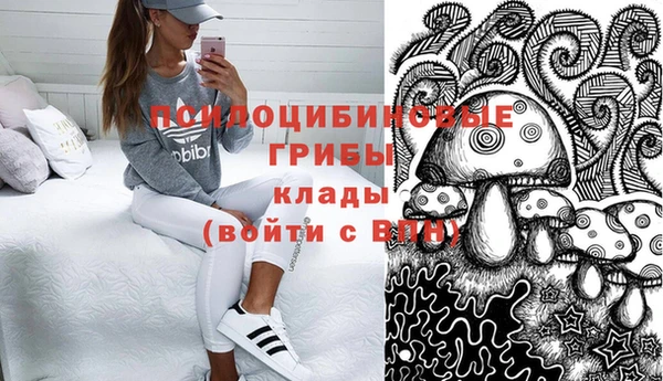 a pvp Арсеньев
