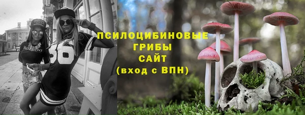 мдпв Армянск